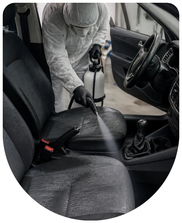 Профессиональная дезинсекция автомобиля от насекомых в Воркуте
